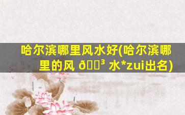 哈尔滨哪里风水好(哈尔滨哪里的风 🐳 水*
zui
出名)